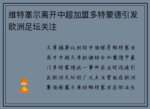 维特塞尔离开中超加盟多特蒙德引发欧洲足坛关注